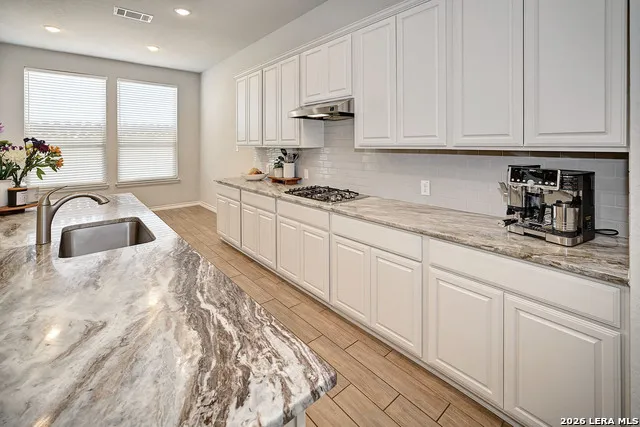 3726 Chicory Bnd Bulverde, TX 78163