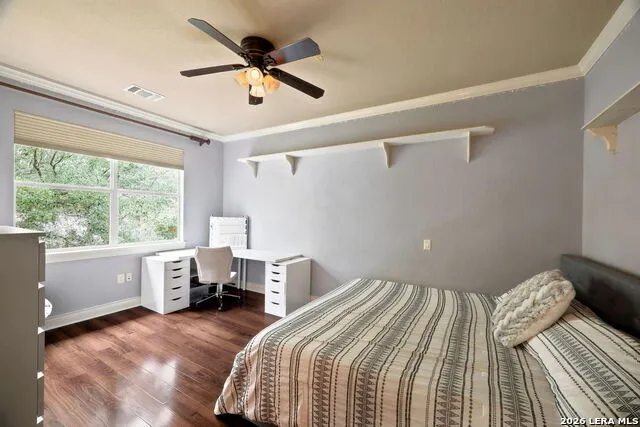 24003 Fog Cyn San Antonio, TX 78258
