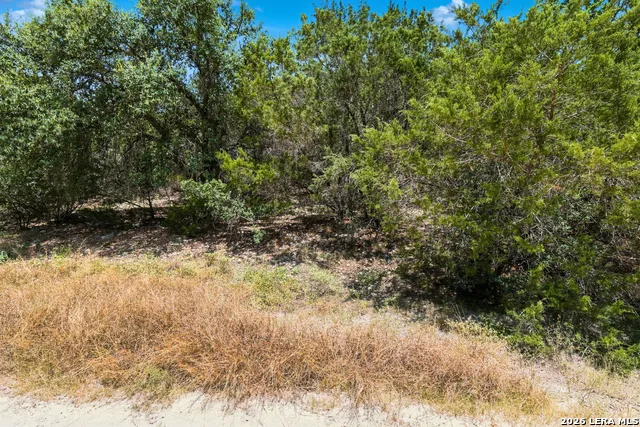 TBD Rebecca Creek Park Third Filing, Lot 6 Spring Branch, TX 78070