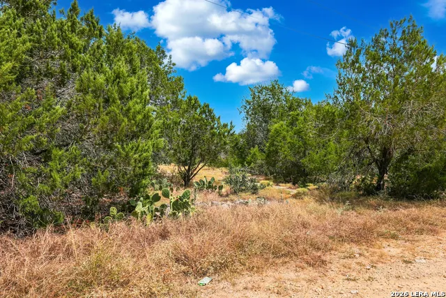 TBD Rebecca Creek Park Third Filing, Lot 6 Spring Branch, TX 78070