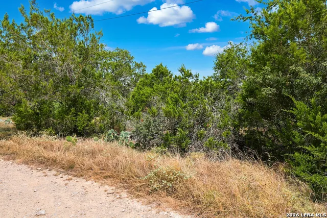 TBD Rebecca Creek Park Third Filing, Lot 6 Spring Branch, TX 78070