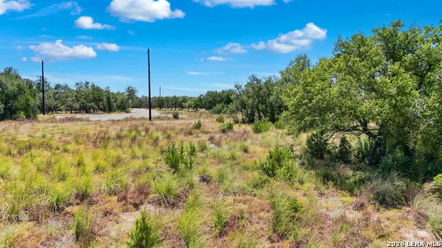 767 Tiswin Trl Blanco, TX 78606