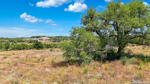 767 Tiswin Trl Blanco, TX 78606