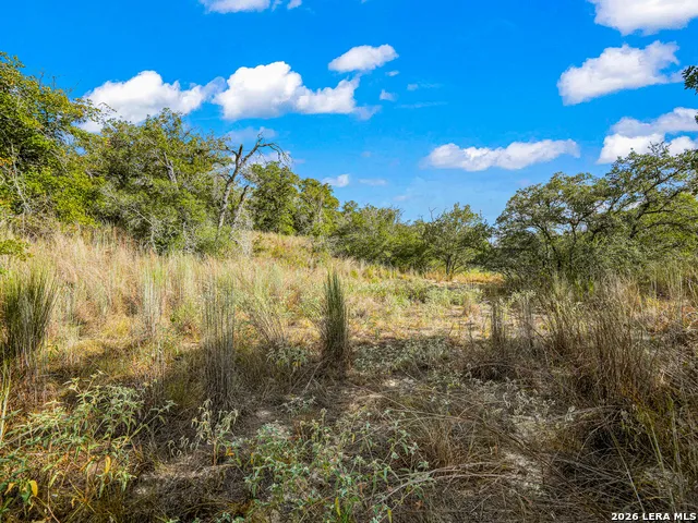 12180 FM 1117 Seguin, TX 78155