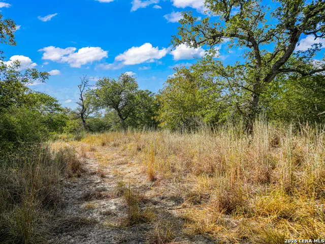12180 FM 1117 Seguin, TX 78155