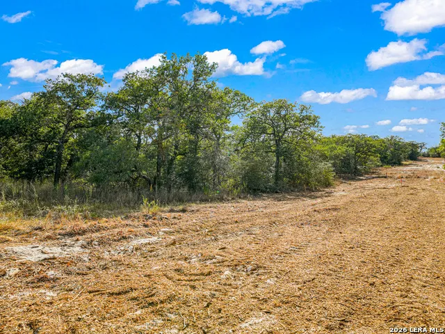 12180 FM 1117 Seguin, TX 78155