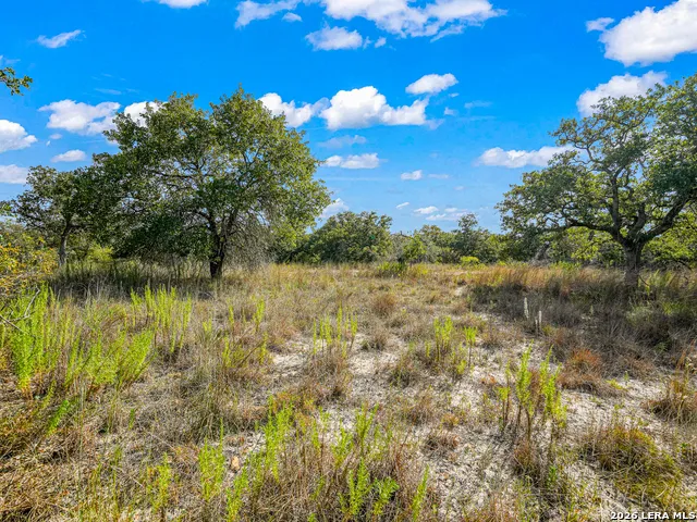 12180 FM 1117 Seguin, TX 78155