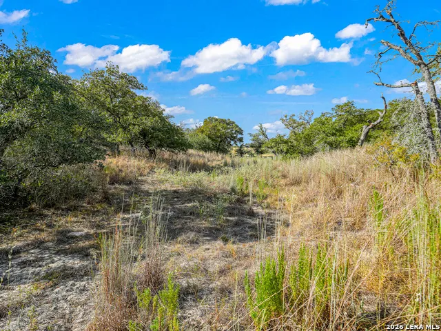 12180 FM 1117 Seguin, TX 78155