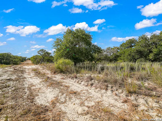 12180 FM 1117 Seguin, TX 78155