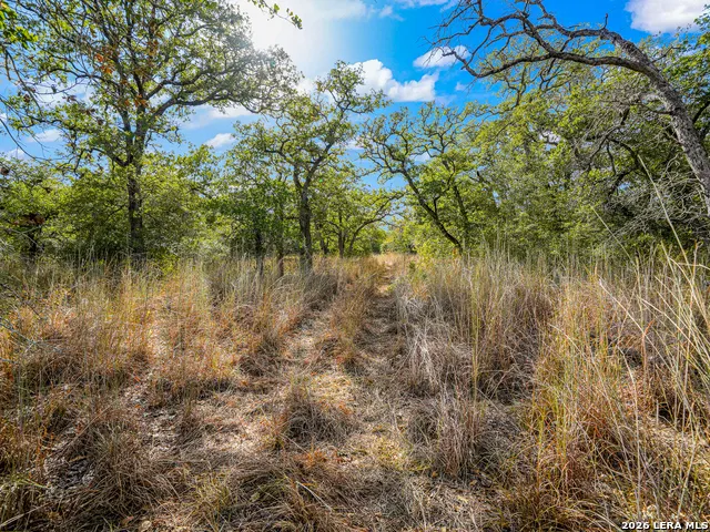 12180 FM 1117 Seguin, TX 78155