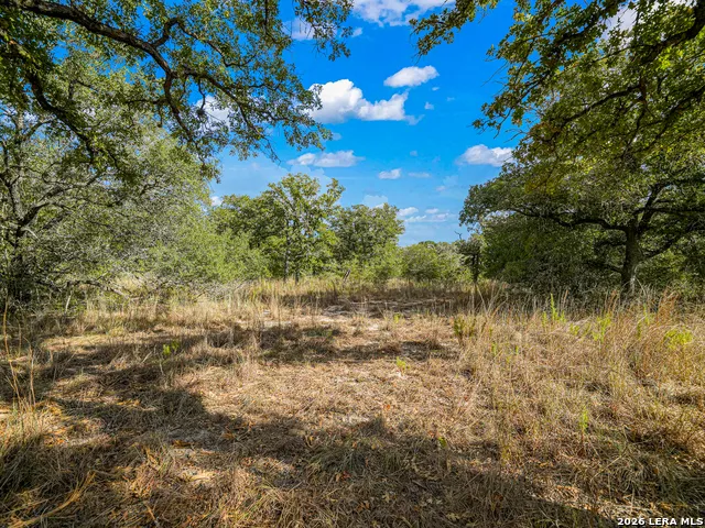 12180 FM 1117 Seguin, TX 78155