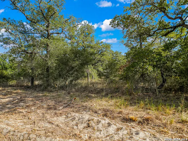 12180 FM 1117 Seguin, TX 78155