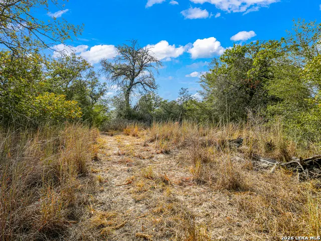 12180 FM 1117 Seguin, TX 78155
