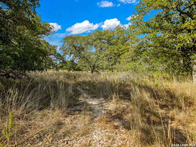 12180 FM 1117 Seguin, TX 78155