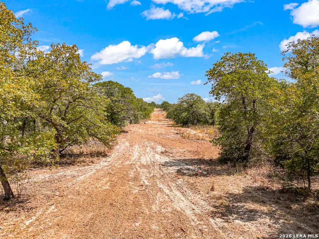 12180 FM 1117 Seguin, TX 78155