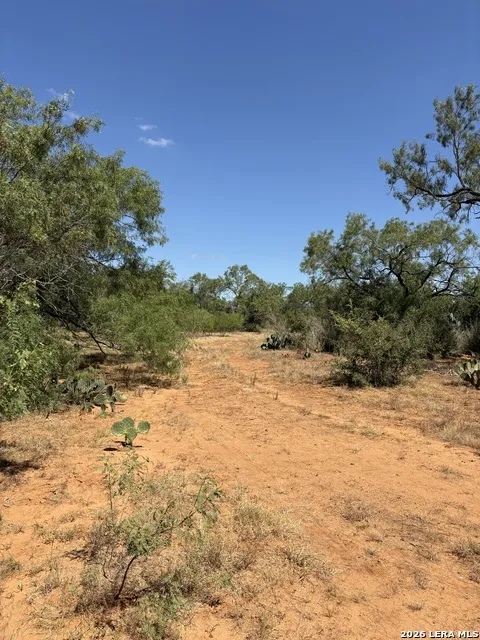 314 County Road Bigfoot, TX 78005