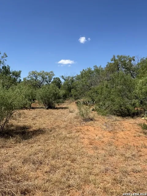 314 County Road Bigfoot, TX 78005