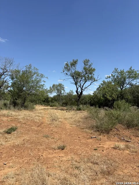 314 County Road Bigfoot, TX 78005