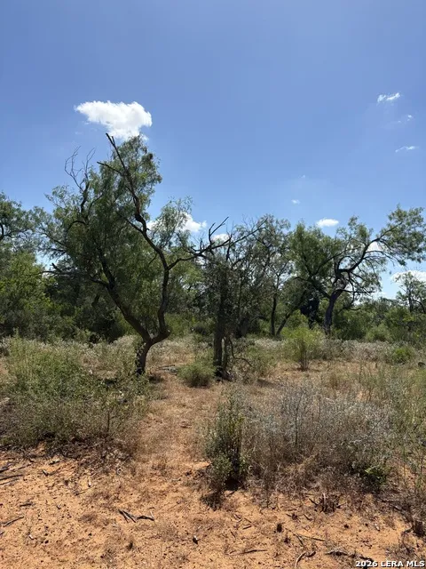 314 County Road Bigfoot, TX 78005