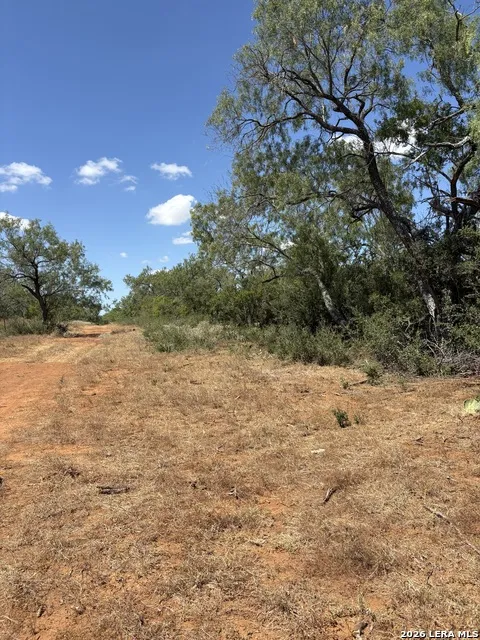 314 County Road Bigfoot, TX 78005