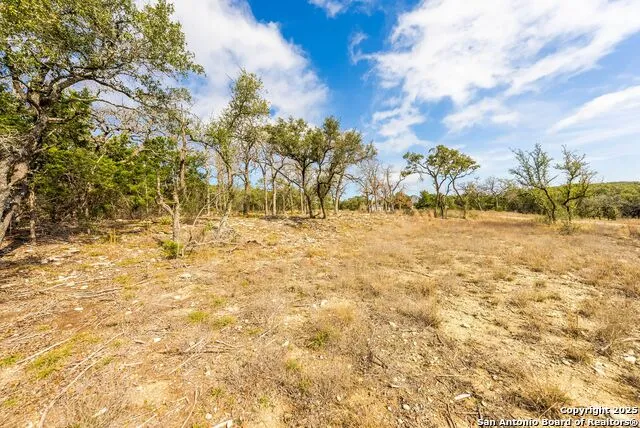 640 Annabelle Ave Bulverde, TX 78163