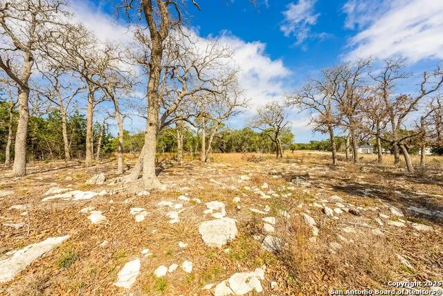 640 Annabelle Ave Bulverde, TX 78163