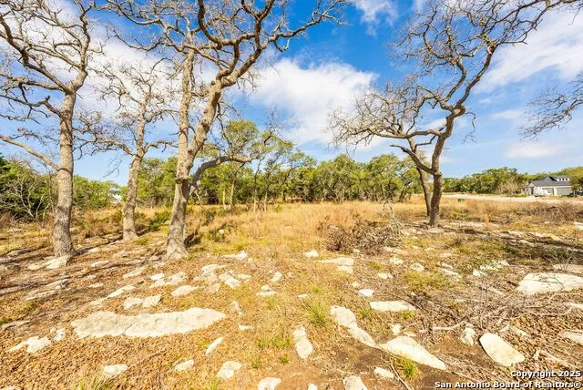 640 Annabelle Ave Bulverde, TX 78163