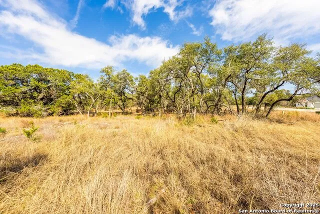 640 Annabelle Ave Bulverde, TX 78163