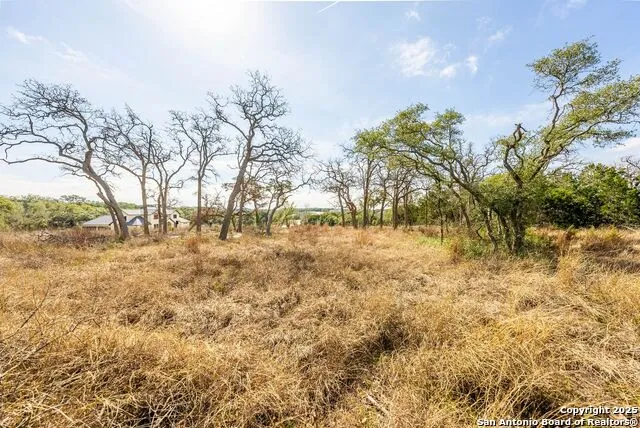 640 Annabelle Ave Bulverde, TX 78163