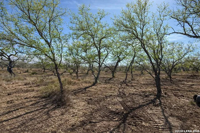 105 SYLAS HAYES LOOP Pleasanton, TX 78064