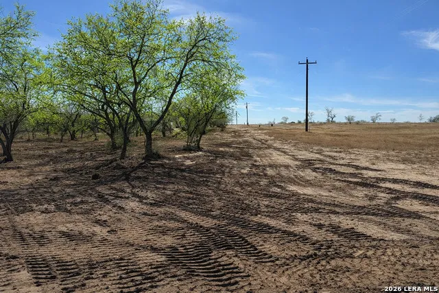 105 SYLAS HAYES LOOP Pleasanton, TX 78064