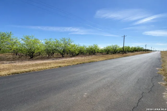 105 SYLAS HAYES LOOP Pleasanton, TX 78064