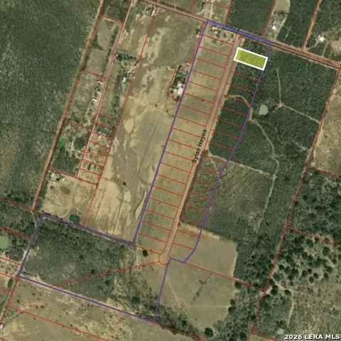 105 SYLAS HAYES LOOP Pleasanton, TX 78064