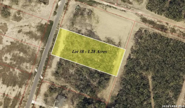 105 SYLAS HAYES LOOP Pleasanton, TX 78064