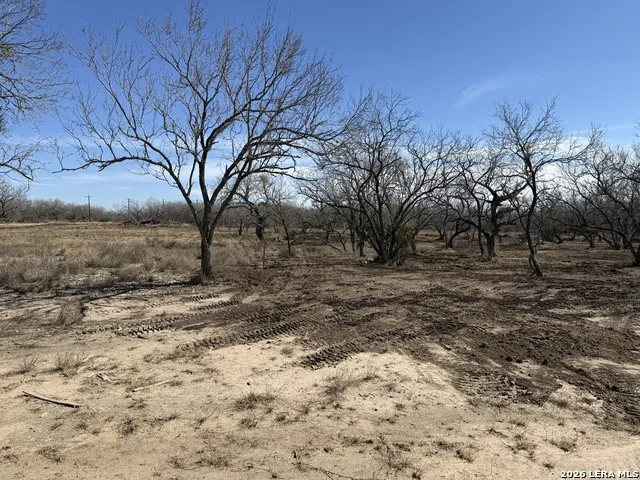 105 SYLAS HAYES LOOP Pleasanton, TX 78064