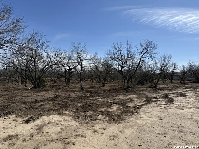 105 SYLAS HAYES LOOP Pleasanton, TX 78064