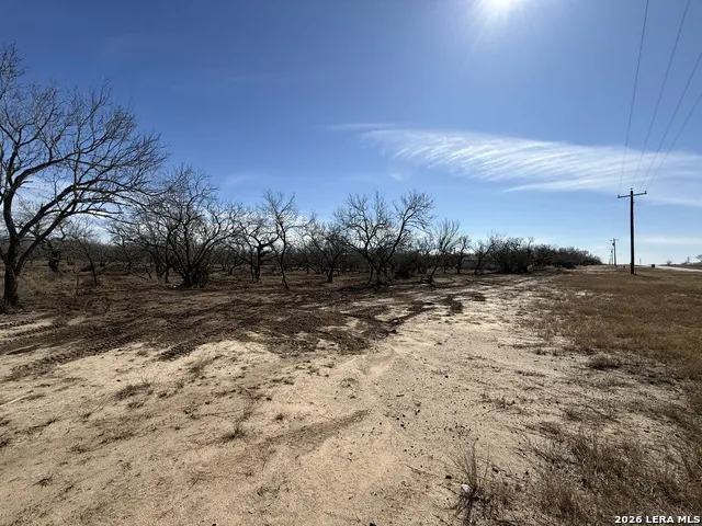 105 SYLAS HAYES LOOP Pleasanton, TX 78064
