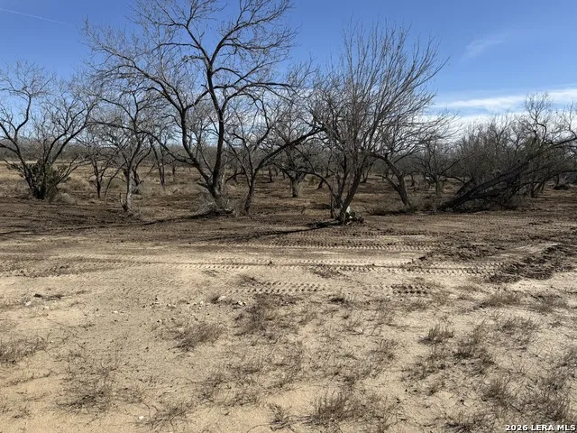 105 SYLAS HAYES LOOP Pleasanton, TX 78064