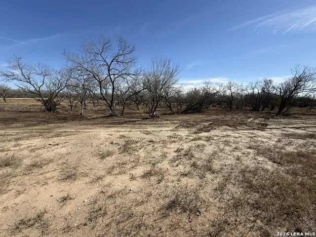 105 SYLAS HAYES LOOP Pleasanton, TX 78064