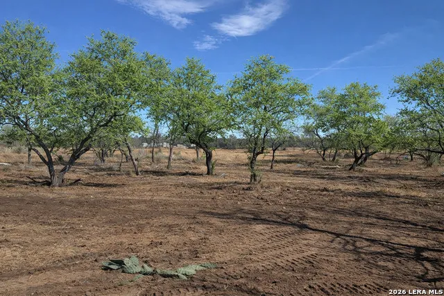 105 SYLAS HAYES LOOP Pleasanton, TX 78064