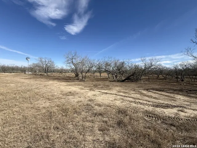 105 SYLAS HAYES LOOP Pleasanton, TX 78064