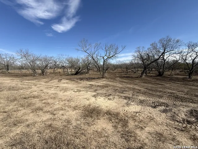 105 SYLAS HAYES LOOP Pleasanton, TX 78064