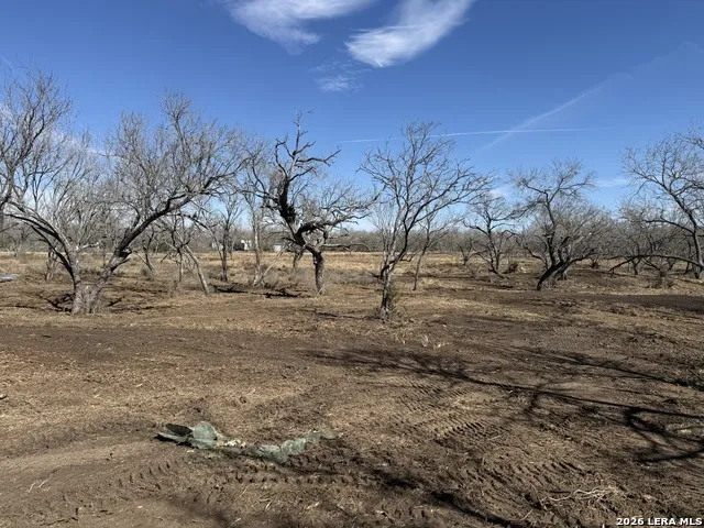 105 SYLAS HAYES LOOP Pleasanton, TX 78064