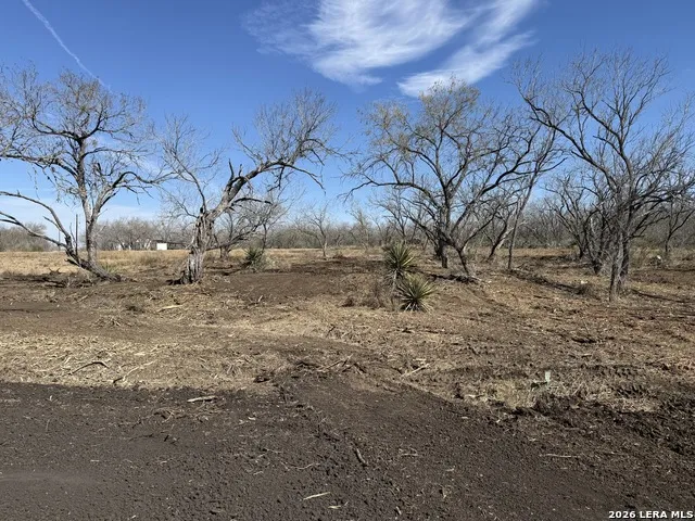 105 SYLAS HAYES LOOP Pleasanton, TX 78064