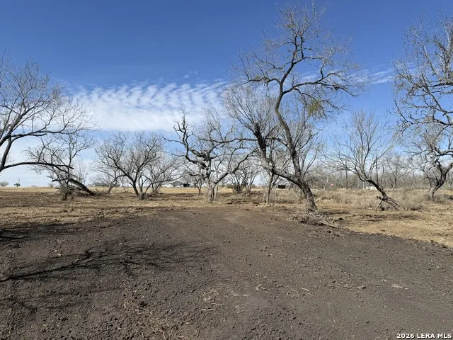 105 SYLAS HAYES LOOP Pleasanton, TX 78064