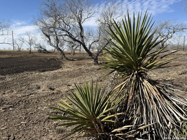 105 SYLAS HAYES LOOP Pleasanton, TX 78064