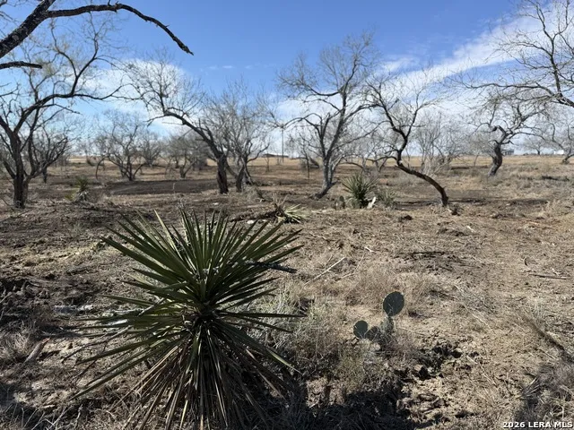 105 SYLAS HAYES LOOP Pleasanton, TX 78064