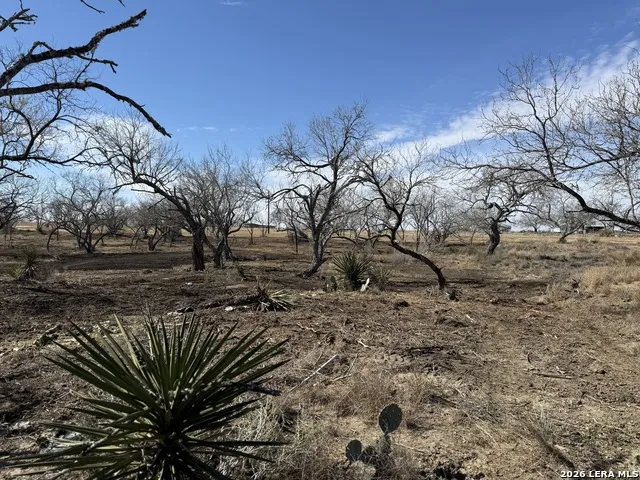 105 SYLAS HAYES LOOP Pleasanton, TX 78064