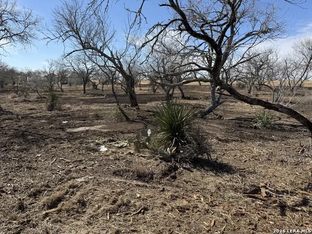 105 SYLAS HAYES LOOP Pleasanton, TX 78064