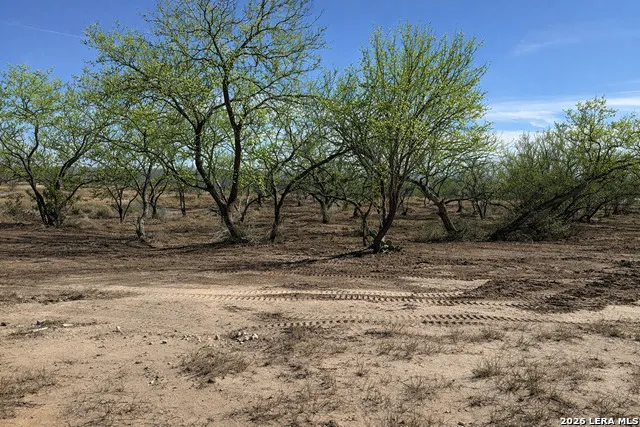 105 SYLAS HAYES LOOP Pleasanton, TX 78064